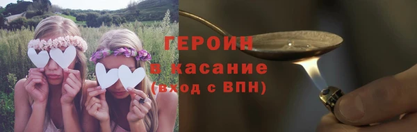 МДПВ Пересвет