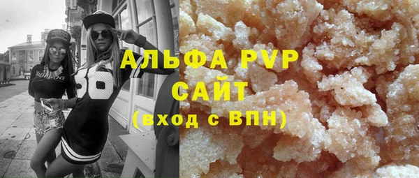 СК Алексин