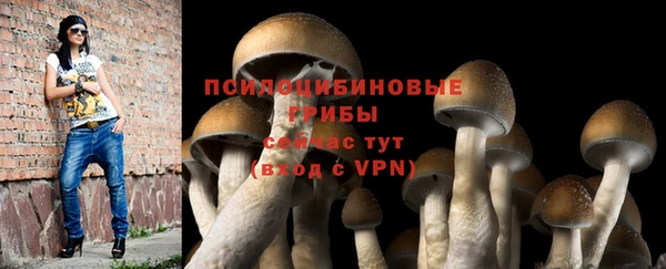 Альфа ПВП Абдулино